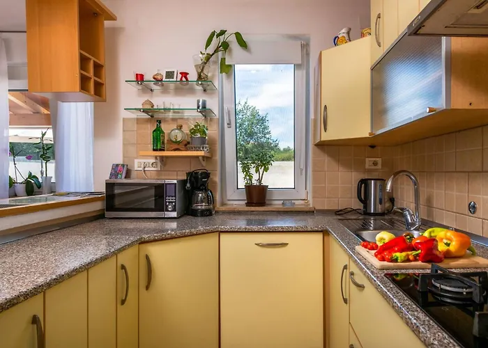 Family Nicole プーラ